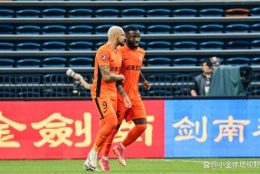 开云体育下载-关于新奥尔良鹈鹕迎荷甲关键赛，今晨状态回暖，信心回归，阵容厚度经受考验的信息